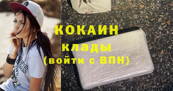 тгк Арсеньев