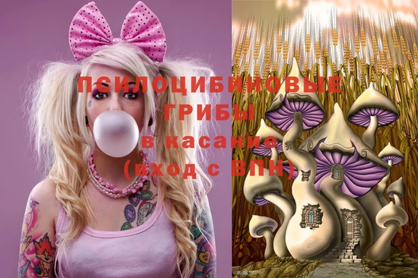 гидропоника Аркадак