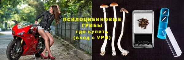 гидропоника Аркадак