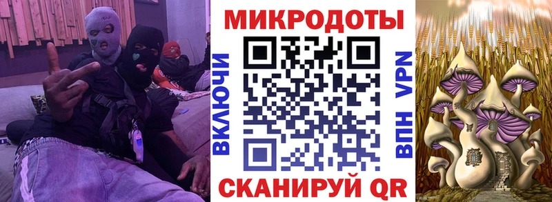 Купить закладки  Великий Новгород  Галлюциногенные грибы Psilocybe 