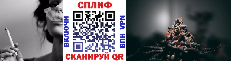 МАРИХУАНА план  Купить где  Великий Новгород 